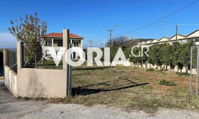 Θεσσαλονίκη: Τα σκυλιά ήταν επιθετικά - Με μπαλώματα η περίφραξη της αυλής του 37χρονου