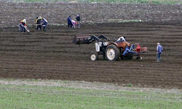 Ενεργοποιείται το Ταμείο Μικρών Δανείων Αγροτικής Επιχειρηματικότητας, με προϋπολογισμό 61,5 εκατ.