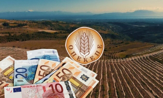 ΟΠΕΚΕΠΕ: Ανοίγει έως τις 15 Δεκεμβρίου το ΟΣΔΕ για διορθώσεις