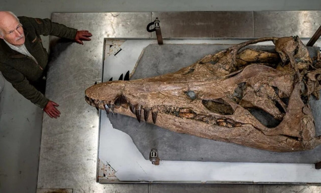 Kρανίο πλειόσαυρου ήρθε στο φως