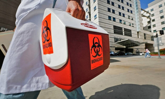 Δήλωση-βόμβα Ρώσου αξιωματούχου: «Η Ουκρανία εξαπέλυσε επίτηδες αφρικανική πανώλη στην Ζαπορίζια»