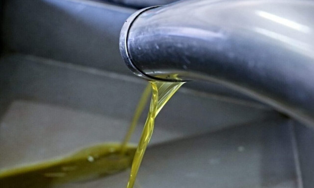 Άρτα: Κραυγή αγωνίας από τους ελαιοπαραγωγούς για το μειωμένο εισόδημα