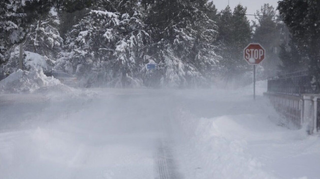 Καιρός - Γιάννης Καλλιάνος: Χιόνια και τσουχτερό κρύο το Σαββατοκύριακο