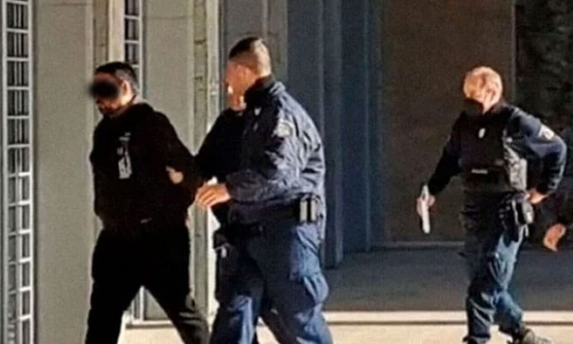 Θεσσαλονίκη: Βαρύ ποινικό είχε ο 37χρονος με τα σκυλιά... φονιάδες