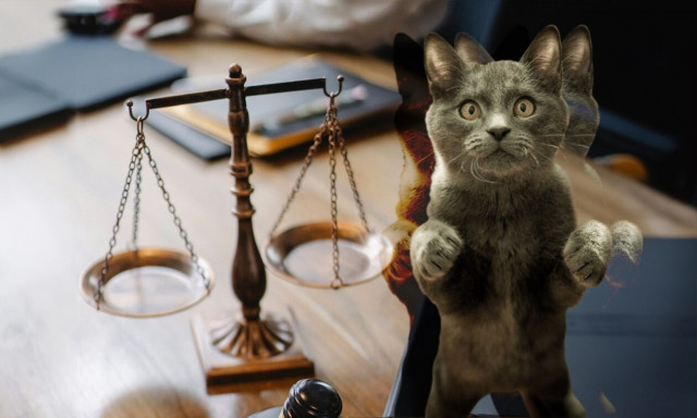 «Παράδειγμα, όχι μαστίγιο»: Τελικά οι πολύ αυστηρές ποινές προστατεύουν τα ζώα ή μήπως όχι;