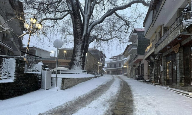 Καιρός: Στα λευκά «ξύπνησαν» πολλές περιοχές στη Βόρεια Ελλάδα - Μαγευτικές εικόνες