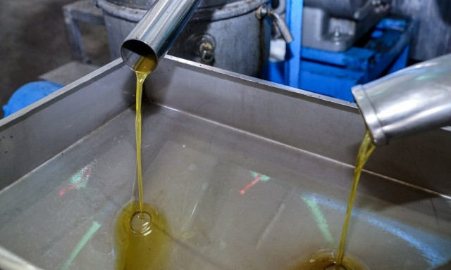 Γαργαλιάνοι: Επιτήδειοι έκλεψαν 200 κιλά λάδι και 250 κιλά μέλι από αποθήκη σπιτιού