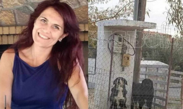 «Ένα από τα σκυλιά με δάγκωσε» - Ξέσπασε 70χρονος για τα ζώα που κατασπάραξαν την 50χρονη