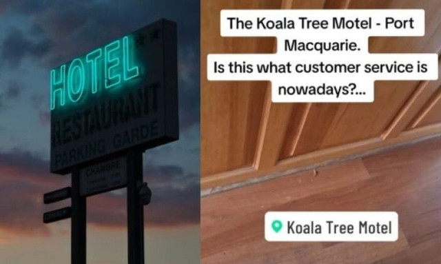 «Έκλεισαν» δωμάτιο ξενοδοχείου και εντόπισαν 6 κατσαρίδες: Η απίστευτη απάντηση που πήραν