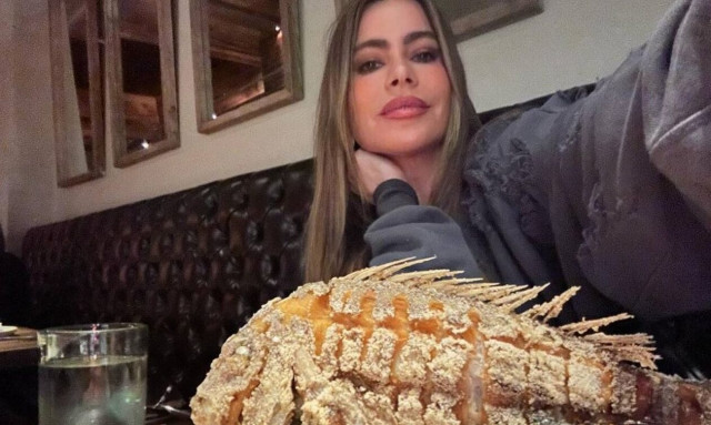 Σοφία Βεργκάρα: Χαμός με το «σατανικό» ψάρι που παρήγγειλε