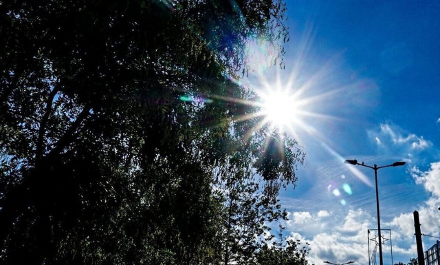 Καιρός - Αρναούτογλου: Ανοιξιάτικο σκηνικό τα Χριστούγεννα - Έως 20 βαθμούς η θερμοκρασία