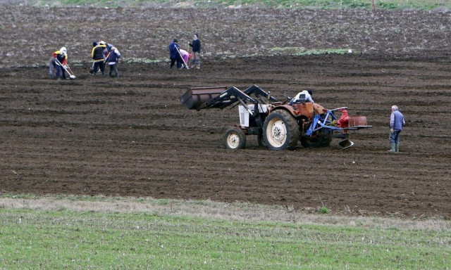 ΟΠΕΚΕΠΕ: Πληρώνεται σήμερα η εξόφληση στις αγροτικές επιδοτήσεις