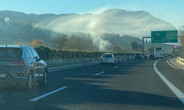 Πυρκαγιά σε δάσος δίπλα στην Εθνική Οδό Αθηνών-Λαμίας