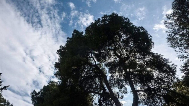 Με τι καιρό θα κάνουμε Χριστούγεννα: Ηλιοφάνεια, νοτιάδες και υψηλές θερμοκρασίες