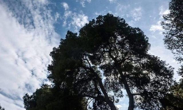 Καιρός: Ανοιξιάτικες θερμοκρασίες και την Τετάρτη - Πού θα βρέξει