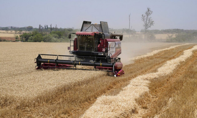 Reuters: Μειώνονται οι προμήθειες βασικών αγαθών το 2024 - To «Eλ Νίνιο» και τα μπλόκα στις εξαγωγές