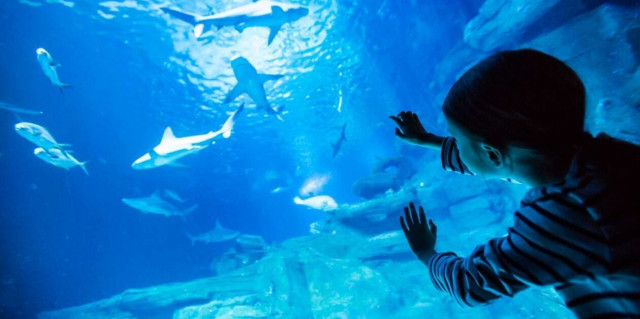 Γαλλία: Διαμαρτυρίες φιλόζωων για το ρεβεγιόν που οργανώνεται στο ενυδρείο του Παρισίου