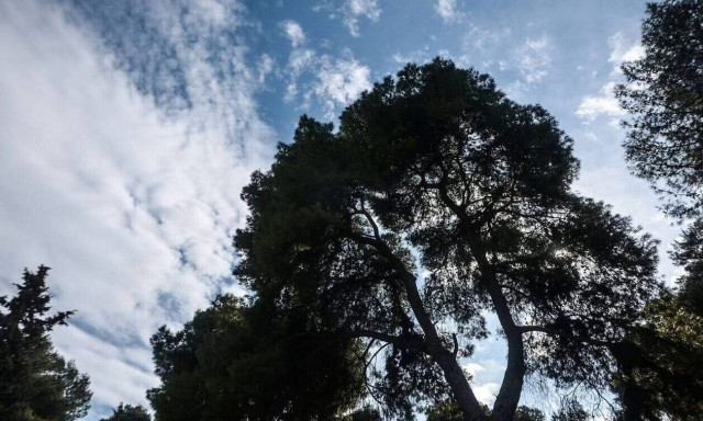 Καιρός - Σάκης Αρναούτογλου: Αραιές συννεφιές και υψηλές θερμοκρασίες αύριο Παρασκευή