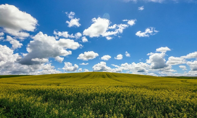 Με λίγα σύννεφα και μέχρι 21 βαθμούς η Παρασκευή - Με καλό καιρό η αλλαγή της χρονιάς