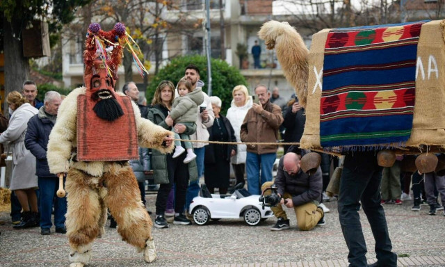 Λάρισα: «Γουρουνοχαρά» με κόσμο και ατελείωτο χορό – «Ζωντάνεψε» το έθιμο με τις καμήλες