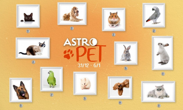 AstroPet 31/12-06/01: Εβδομαδιαίες προβλέψεις για το κατοικίδιό σου