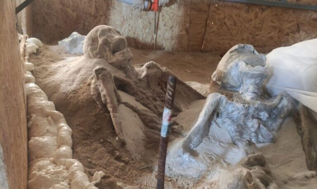 Λίνα Μενδώνη: Αυτοψία στους «Δεσμώτες του Φαλήρου» - Ένα εύρημα 78 αλυσοδεμένων ανθρωπίνων σκελετών