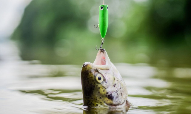 Τα ζώδια που μπορεί να πέσουν θύματα εξαπάτησης, σήμερα, 09/01