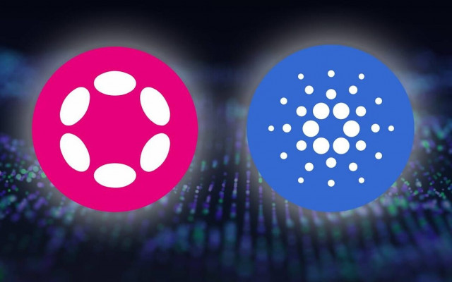 Εκτοξεύσεις τιμών τον Ιανουάριο του 2024 για το Polkadot και το Cardano;