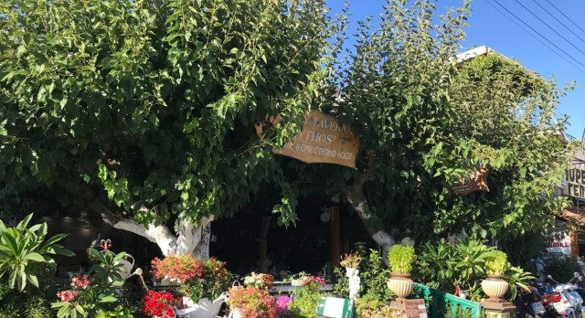 Η ταβέρνα με την πιο ευφάνταστη διακόσμηση βρίσκεται στην Κρήτη!