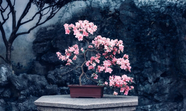 Προβλέψεις Κινέζικης αστρολογίας από 11/01 έως 10/02