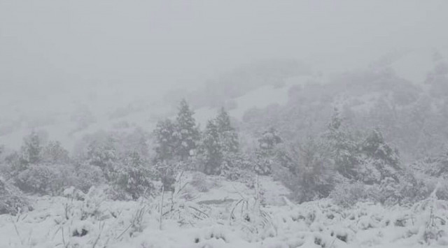 Στα λευκά η ορεινή Εύβοια - «Μάχη» για να μείνουν δρόμοι ανοιχτοί