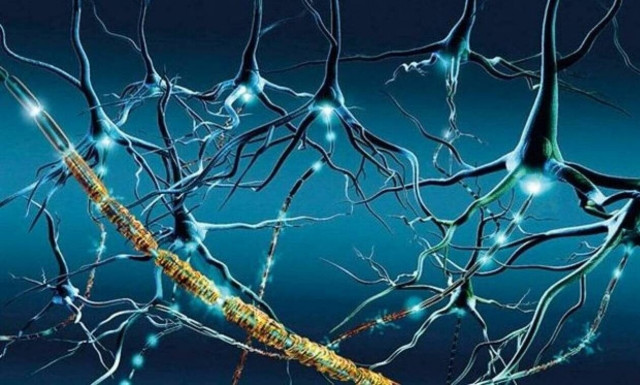 Το αρχαίο DNA αποκαλύπτει το λόγο για τα υψηλά ποσοστά σκλήρυνσης κατά πλάκας στην Ευρώπη