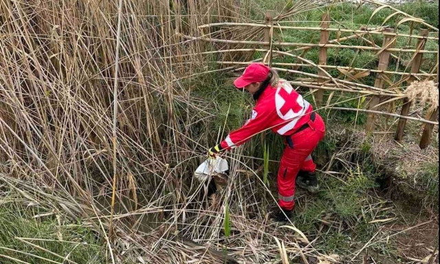 Ο Ελληνικός Ερυθρός Σταυρός συμμετέχει στις έρευνες για τον εντοπισμού του 31χρονου στο Μεσολόγγι