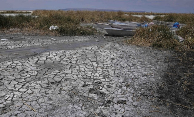 «Καμπανάκι» ΟΗΕ για την κλιματική αλλαγή: Αναμένονται νέες θερμοκρασίες – ρεκόρ το 2024