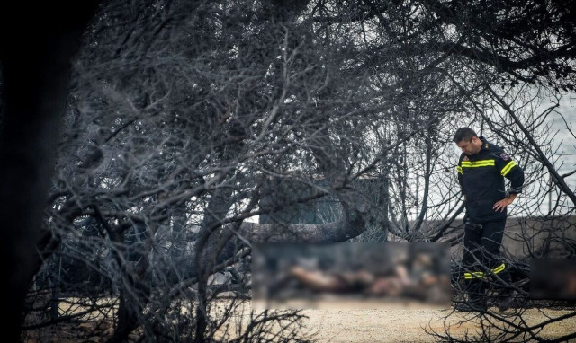 Μάτι - Φωστιέρης: «Το Μάτι πρώτα πέθανε και μετά κάηκε» - «Πυρά» κατά του λιμενικού