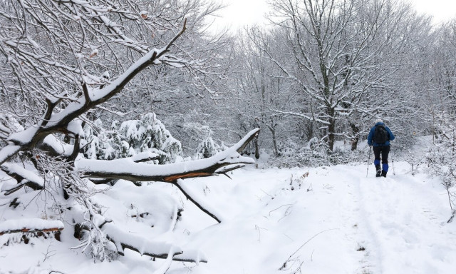 Διπολικός ο καιρός: Από τους 20 βαθμούς... στα χιόνια - Στα «λευκά» Αττική και Θεσσαλονίκη