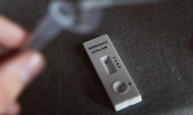 Deaths due to Covid-19, flu rise in week of Jan 8-14