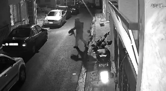 Στη φυλακή «για τα καλά» ο εγκληματίας που σκότωνε γάτες στον Βοτανικό - Οκτώ χρόνια κάθειρξη