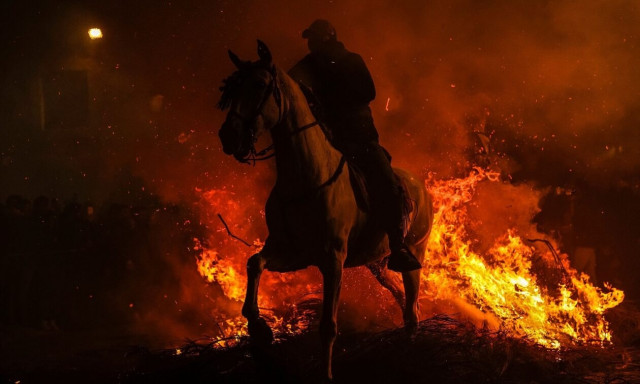 Ισπανία: Άλογα πηδούν στις φλόγες - Αναβίωσε το αμφιλεγόμενο έθιμο για τη γιορτή του Αγίου Αντωνίου