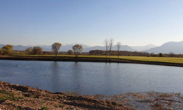 Λάρισα: Οι σημαντικοί για το οικοσύστημα άλλα άγνωστοι υγρότοποι