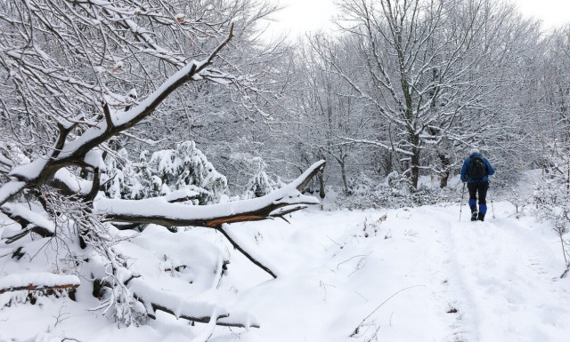 Καιρός: Σαββατοκύριακο με χιόνια, βροχές και καταιγίδες - Τι θα κάνει στην Αττική