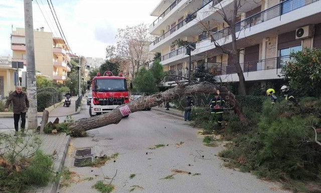 Αττική: Σαρώνουν οι θυελλώδεις άνεμοι ξεριζώνοντας δέντρα