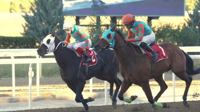Πέντε ελληνικές κούρσες τη Δευτέρα στο Markopoulo Park