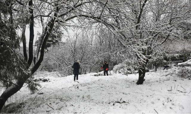 Κακοκαιρία: Στην «κατάψυξη» η βόρεια Ελλάδα - Στους -20 η θερμοκρασία στη Δυτική Μακεδονία