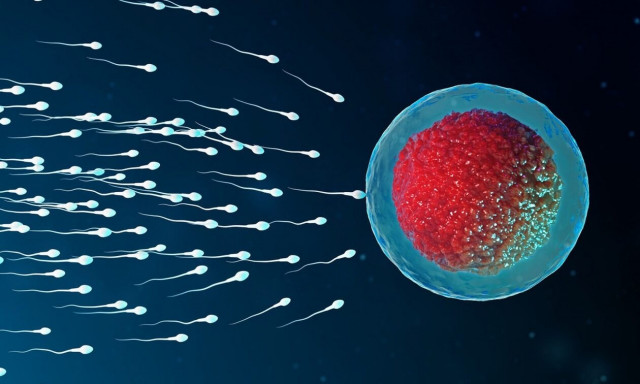 Μικροβίωμα σπέρματος: Πώς επηρεάζει την ανδρική γονιμότητα