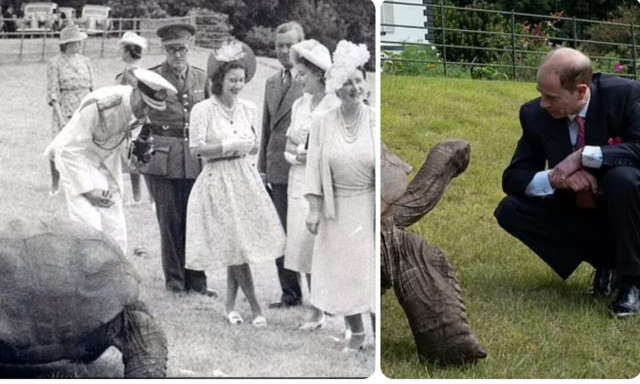 Πρίγκιπας Έντουαρντ: Συνάντησε χελώνα... 192 ετών που είχαν δει η Ελισάβετ και ο βασιλιάς Γεώργιος