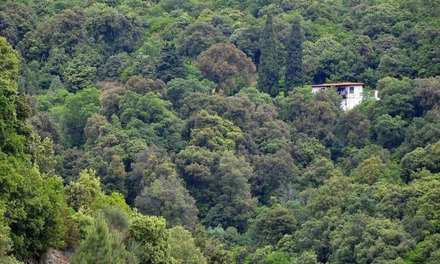 Αυθαίρετα: Περιορισμοί στην εκτός σχεδίου δόμηση με μεταβατική ρύθμιση