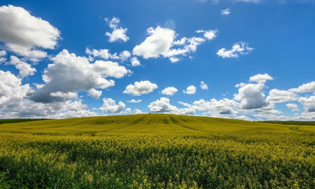 Με ανοιξιάτικο καιρό η Πέμπτη – Τους 19 βαθμούς θα αγγίξει η θερμοκρασία