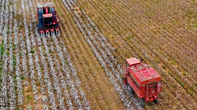 ΕΛΓΑ: Εξοφλούνται σε 3.436 παραγωγούς οι αποζημιώσεις του 2022