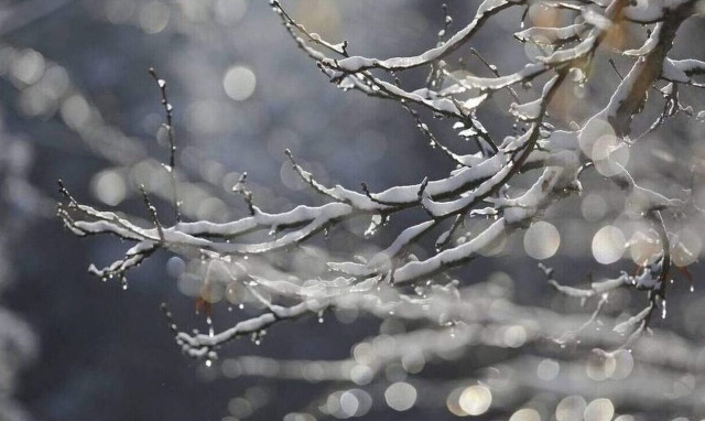 Καιρός-Σάκης Αρναούτογλου: Ανεβαίνουν τα μποφόρ - Χιόνια και βροχές από την Κυριακή